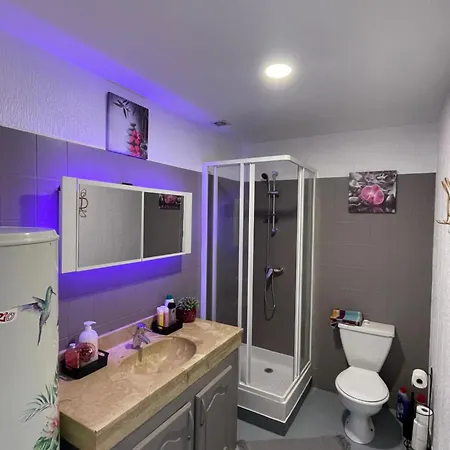 Ferienwohnung Le Mustang Internet Fibre Netflix Joigny Exterior foto