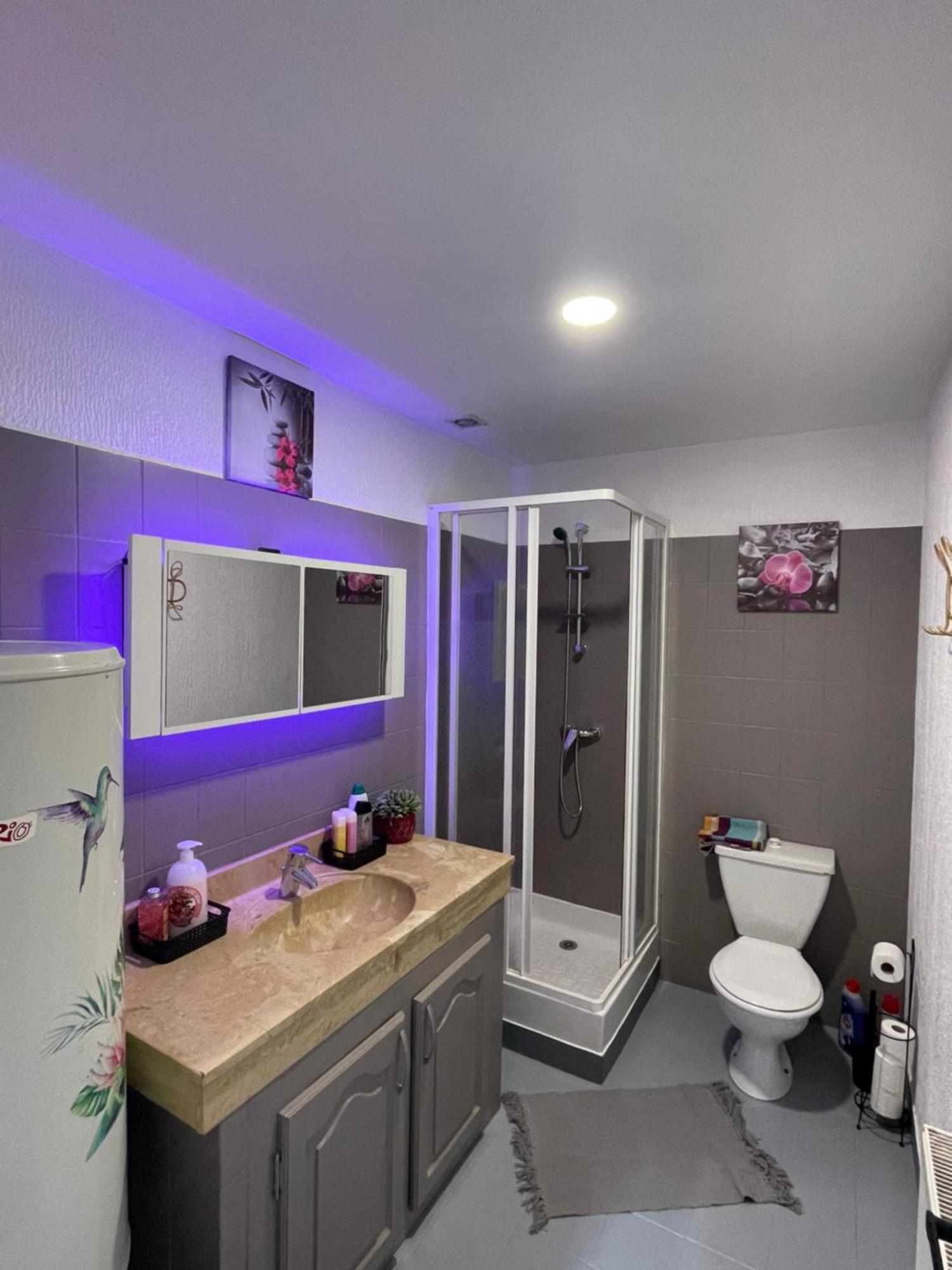 Le Mustang Internet Fibre Netflix Apartment